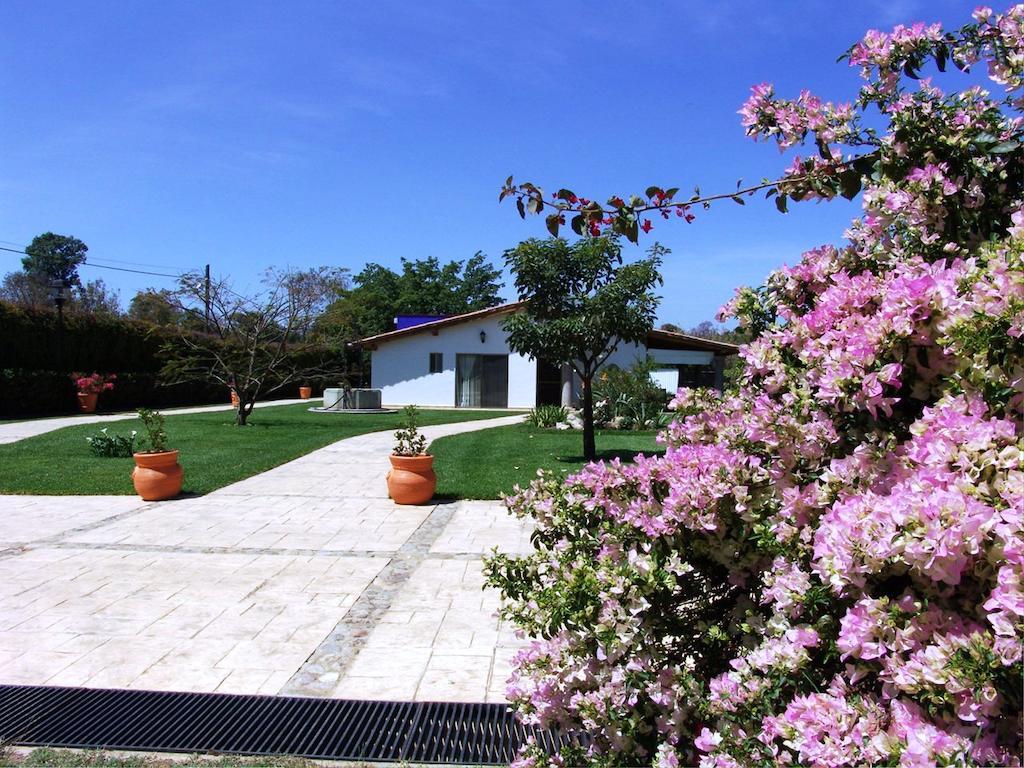 Quinta Azul Oaxaca Villa Værelse billede